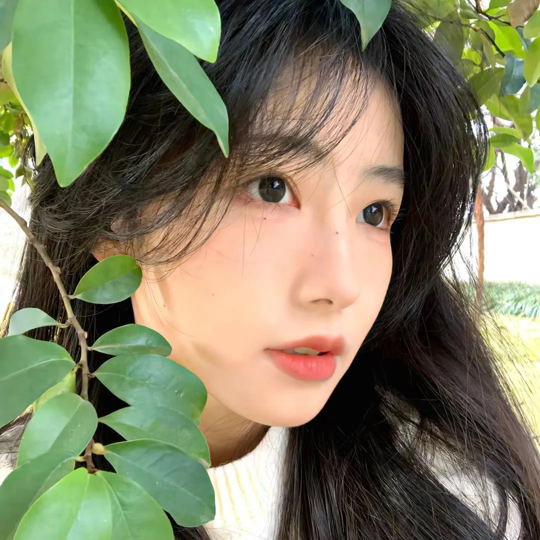 念情女博士