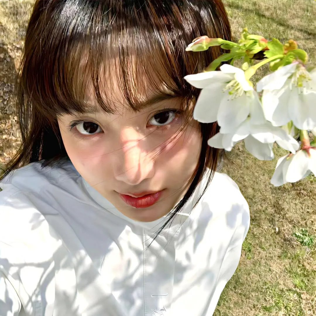 红花之歌